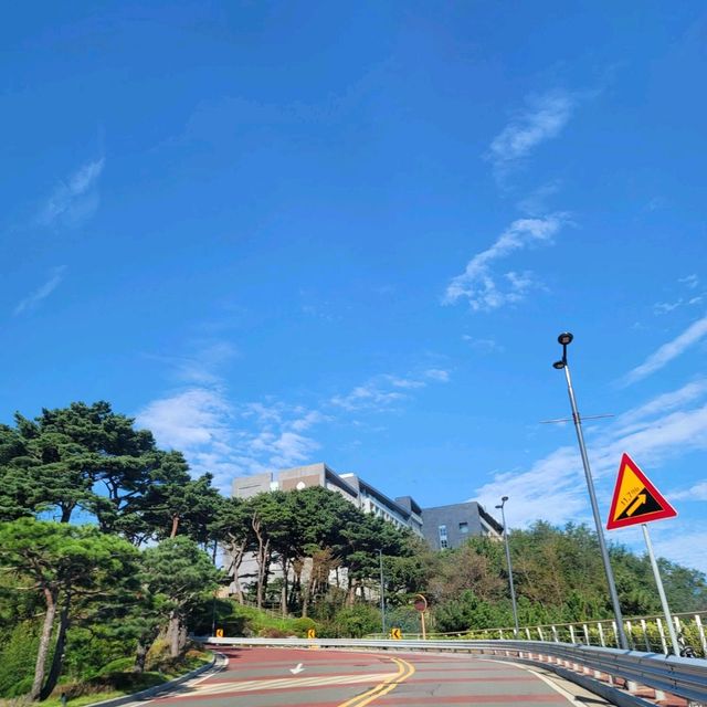 롯데리조트 속초😘