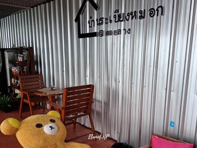 บ้านระเบียงหมอก @ดอยลาง 🌼