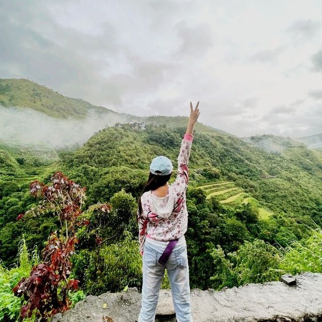 Beaty of the North - Rice Terraces 