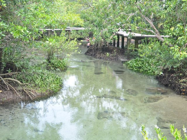 🌿💦ผ่อนกาย สบายใจ คลองน้ำใส ท่าปอม🌿💦
