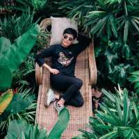 มองช้างคาเฟ่ สไตล์ซาฟารีคาเฟ่ อยู่พัทยานี่เอง