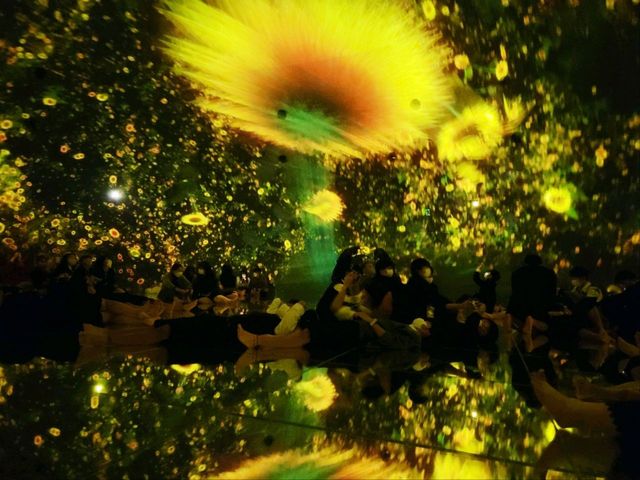 豐洲市場吃飽後好去處 豐洲teamLab Planets Tokyo美術館