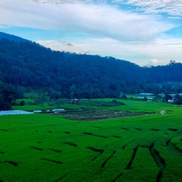 บ้านแม่กลางหลวง ดอยอินทนนท์