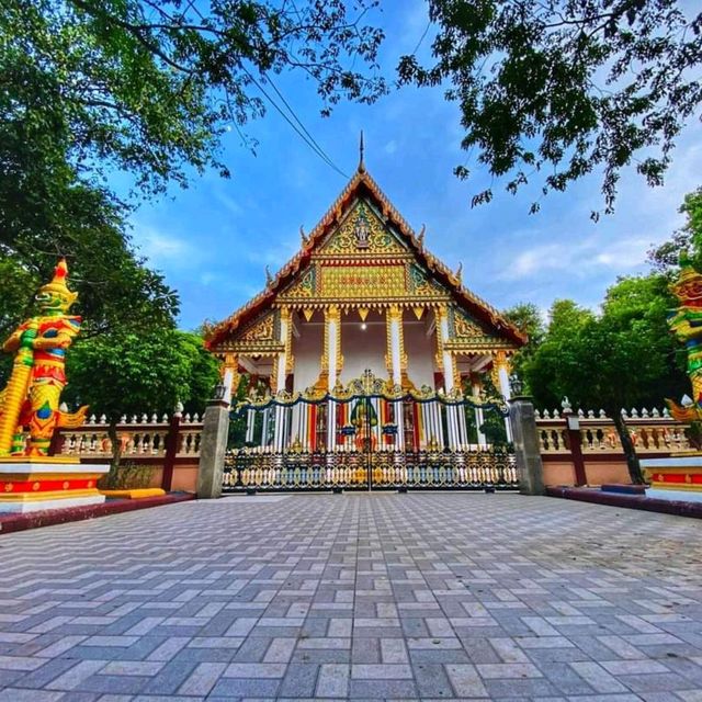 🙏วัดโพธิ์บางคล้า บ้านของค้างคาวแม่ไก่