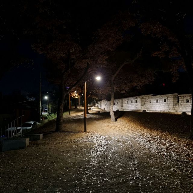 밤의 낙산공원, 로맨틱 그 잡채...🌃