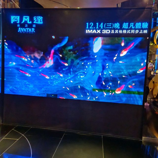 所有的戰爭！都是傷敵一千，自傷八百！看完阿凡達有感！