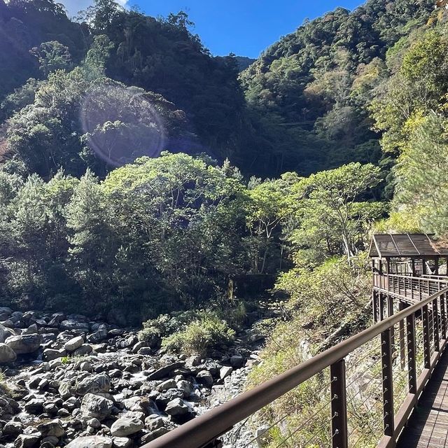 台中八仙山森林國家公園