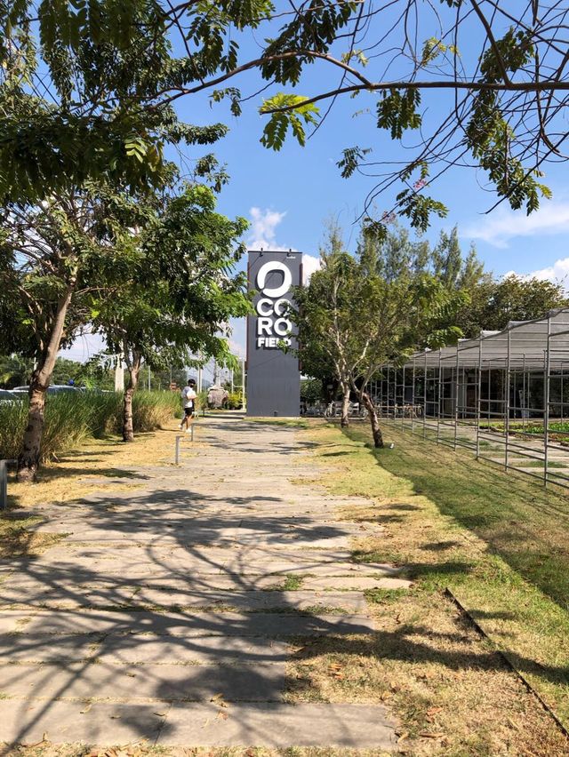 ชมฟาร์มเมล่อนพร้อมทานผักออแกนิคสดๆ