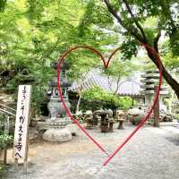 かえる寺❣️しあわせな言葉がたくさん❣️