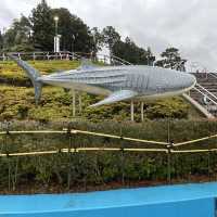 石川県　のとじま水族館