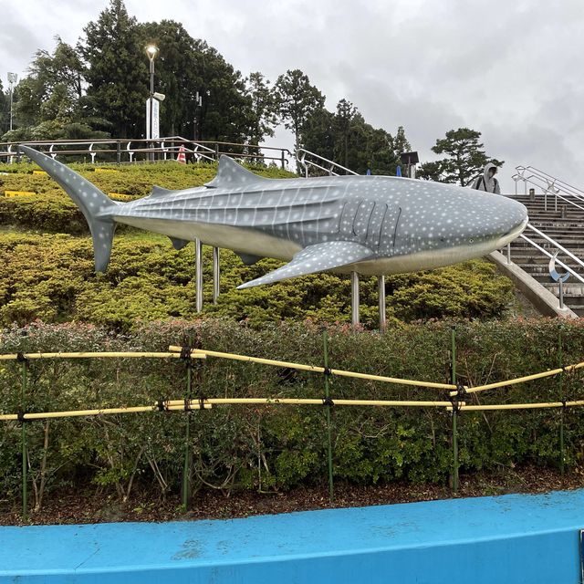 石川県　のとじま水族館