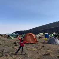 Cool Hiking at Kilimanjaro