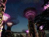 新加坡- GARDENS BY THE BAY 