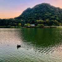 浪漫悠閒好去處💕大湖公園 Dahu Park🦢🕊