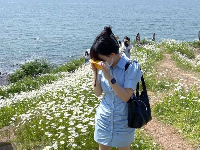 전라북도편 제주도, 부안 바다여행 🌊