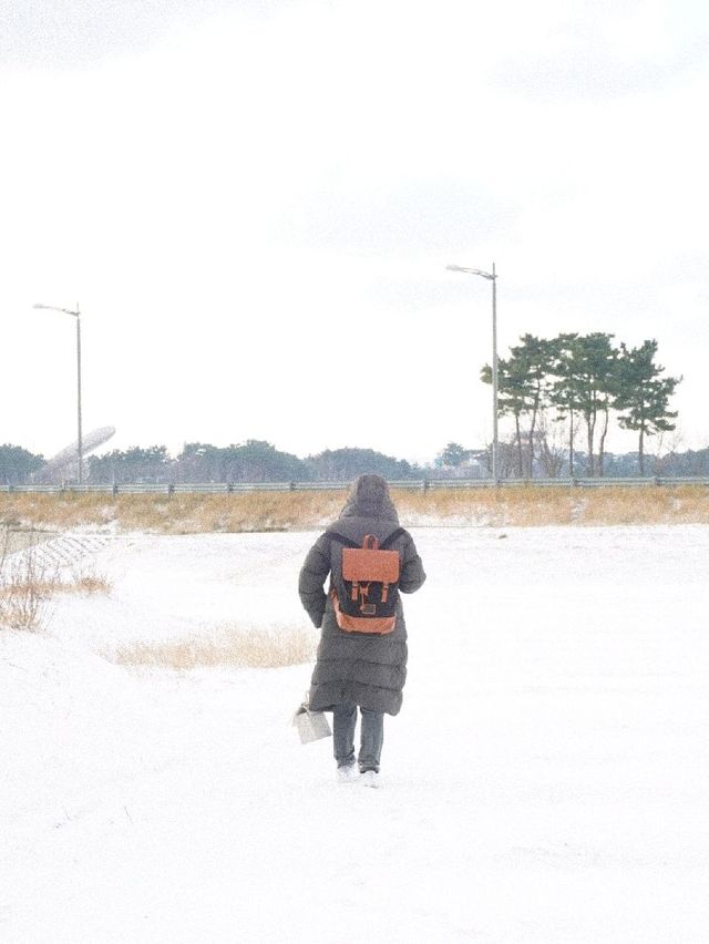 인천공항 근처 비행기 A열 직관 가능한 인천 하늘정원