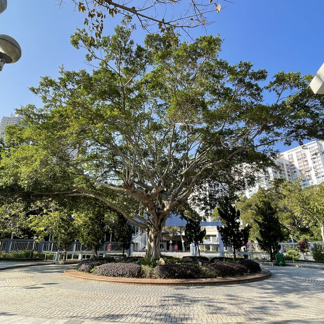 超大型公園草地同設施