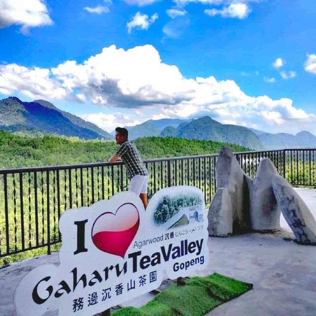 Gaharu Tea Valley @Gopeng Perak