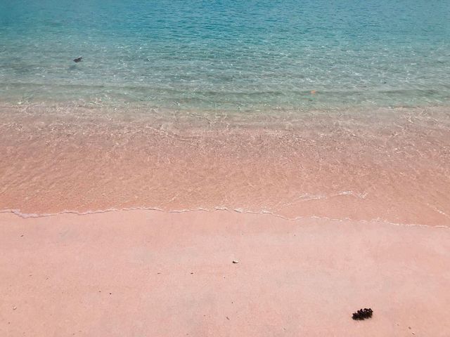 PINK beach at PINk HOTEL IN samar!!