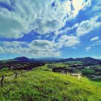 ⛰️ 초록빛의 오름산책을 더위가 막을 순 없지, 새별오름
