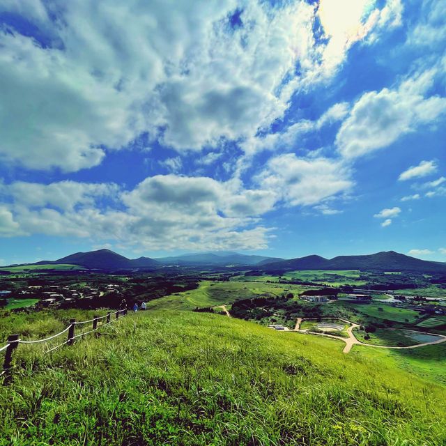 ⛰️ 초록빛의 오름산책을 더위가 막을 순 없지, 새별오름