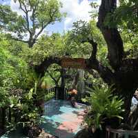 สวยงามบรรยากาศร่มรื่นไม่ร้อน