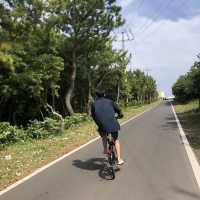 제주도 우도 자전거 타고 한바퀴