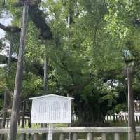 【京都府】世界遺産「西本願寺」を散策！