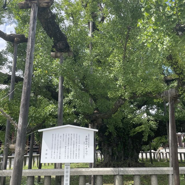 【京都府】世界遺産「西本願寺」を散策！