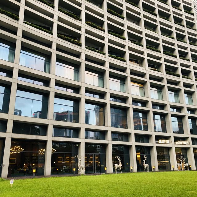 綠意盎然🌳🌿松山文創園區 Songshan Cultural and Creative Park