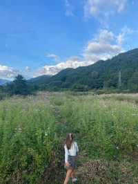 尾瀬 群馬県🏔