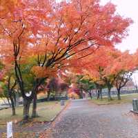 岩手県！盛岡城跡の本丸と紅葉