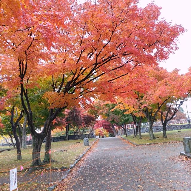 岩手県！盛岡城跡の本丸と紅葉
