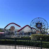 어른들을 위한 디즈니랜드🎡디즈니 어드벤처 파크🎢