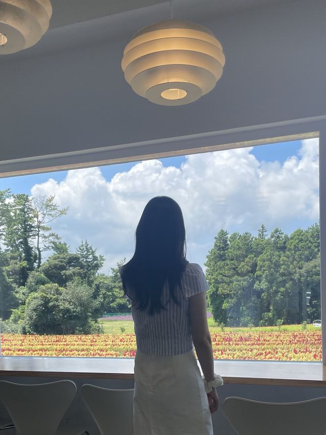 제주 동쪽 다양한 포토존이 있는 뷰좋은카페, 비케이브