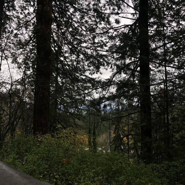 beautiful scenery near city 
