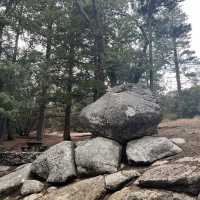 Getting wild in Idyllwild