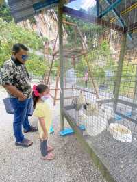 Pavillion Petting Zoo - Kids Haven ❤️ 