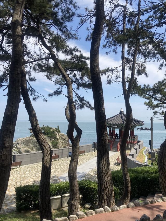 부산 숨은 여행지