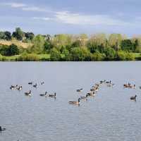 Pugneys Country Park 