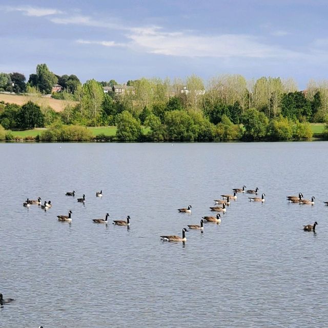 Pugneys Country Park 