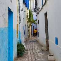 The Medina of Tunis, a UNESCO world heritage site