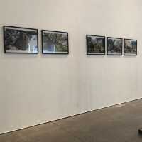 利物浦攝影展覽Open Eye Gallery