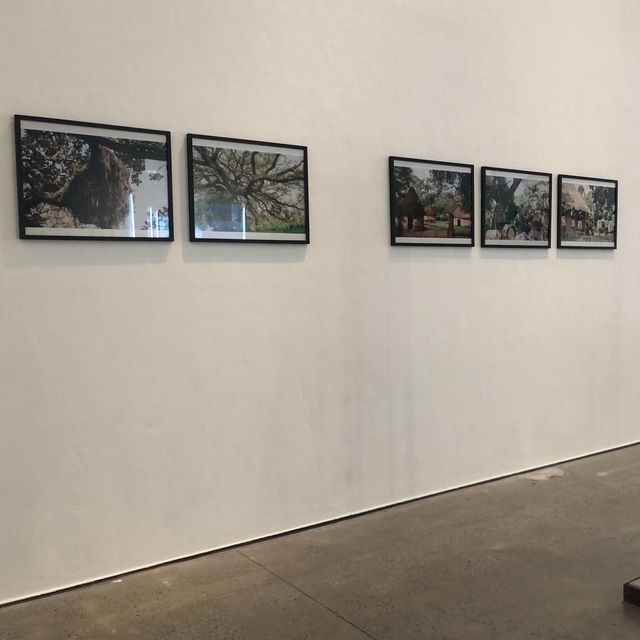 利物浦攝影展覽Open Eye Gallery
