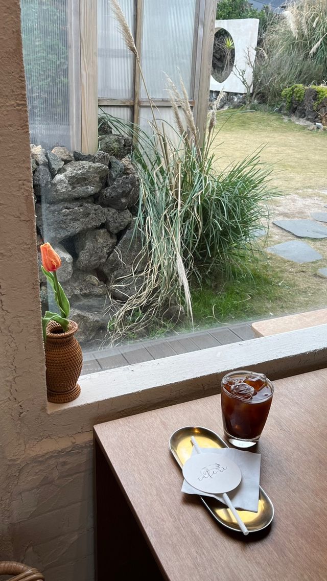 고양이가 가득한 분위기 좋은 🍊카페리🍊