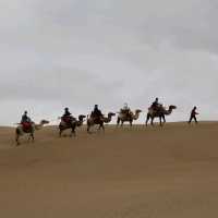 Camel ride in the desert