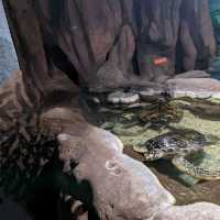 Nanchang ocean park 