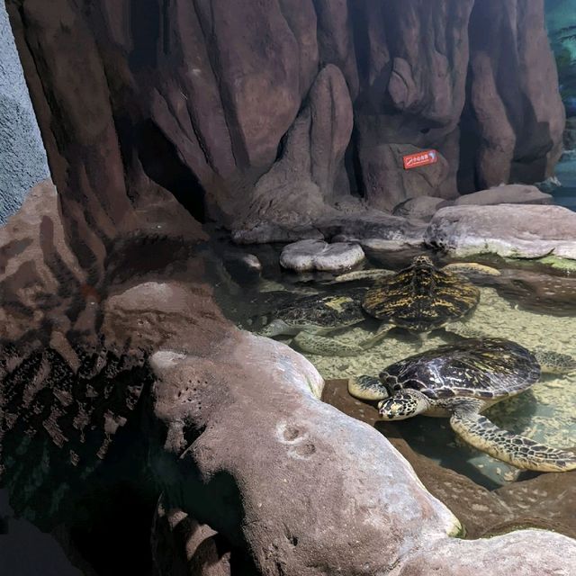 Nanchang ocean park 