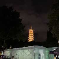 打卡深圳龍華公園的夜景