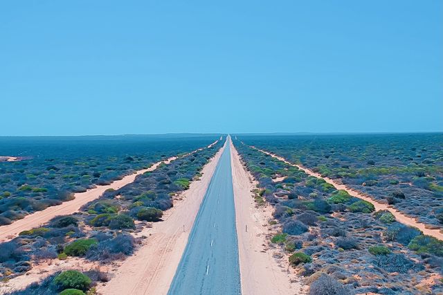 Shark Bay wilderness wandering.